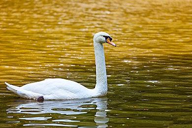 前《星球大战1313》创意总监加盟Skydance 开发星战游戏